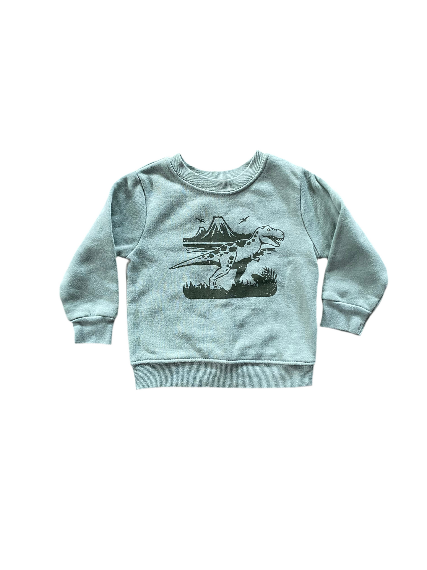 Garanimals | Dinosaur Crew Neck | 9-12 Months