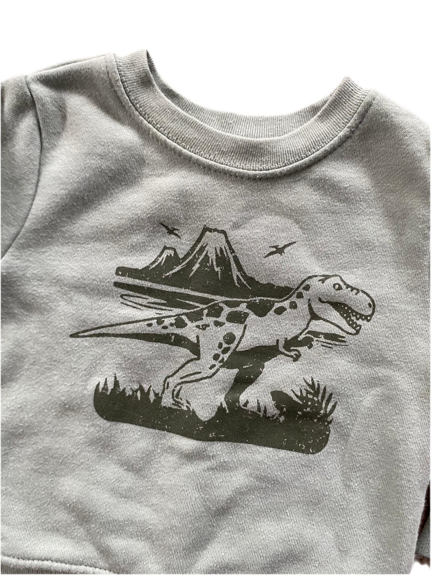 Garanimals | Dinosaur Crew Neck | 9-12 Months