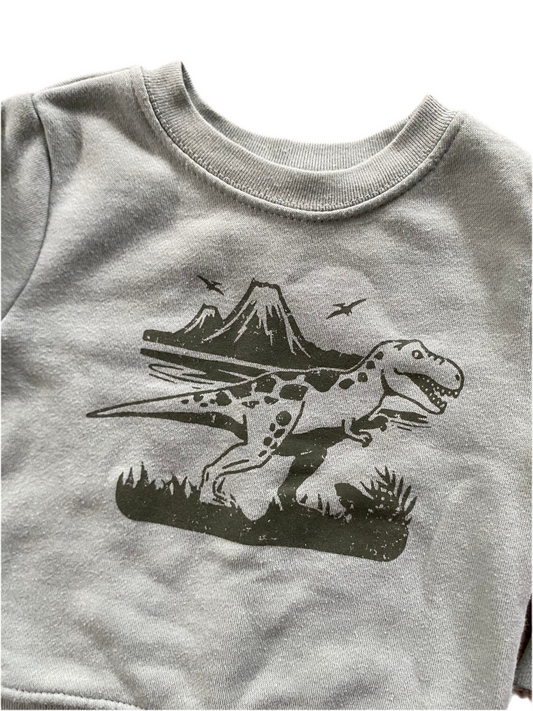 Garanimals | Dinosaur Crew Neck | 9-12 Months